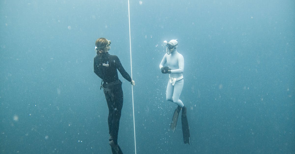 découvrez le principe de la flottabilité (buoyancy), une force essentielle qui permet aux objets de flotter dans l'eau ou l'air. comprenez comment elle fonctionne et ses applications en physique.