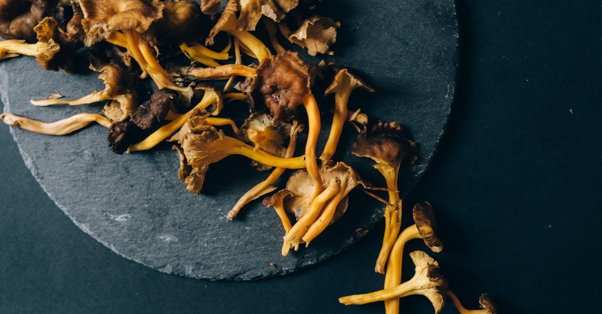 découvrez tout sur la chanterelle, un délicieux champignon prisé pour sa saveur unique et ses bienfaits culinaires. guide de cueillette, recettes et conseils d'utilisation.
