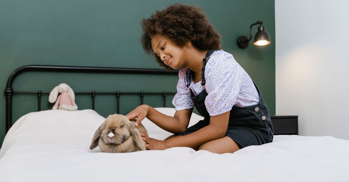 découvrez la durée de vie moyenne des lapins domestiques et comment en prendre soin pour prolonger leur bien-être.