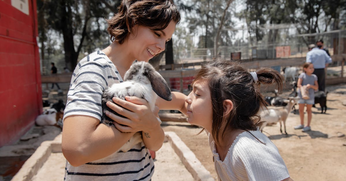 découvrez la durée de vie moyenne d'un lapin domestique et les conseils pour assurer son bien-être et sa longévité.