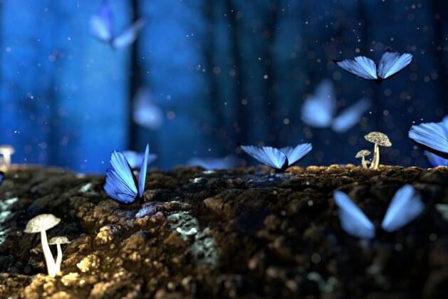 Comment interpréter vos rêves de dispute pour mieux comprendre vos émotions ?