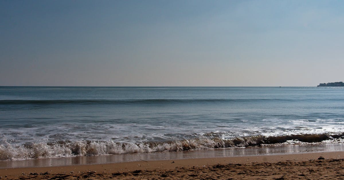 découvrez les prévisions et analyses sur le revenu des agriculteurs en france pour l'année 2025, incluant les tendances économiques et les aides disponibles.