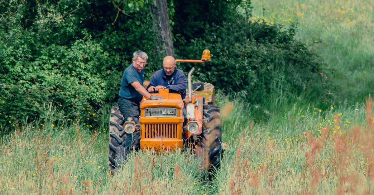 découvrez les prévisions et analyses sur le revenu des agriculteurs en france pour l'année 2025, incluant les tendances économiques et les impacts des politiques agricoles.