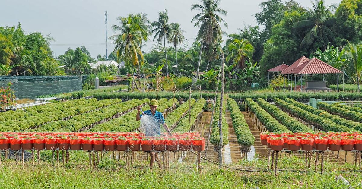 découvrez les perspectives des revenus agricoles en france pour 2025, analyses, prévisions et enjeux pour les agriculteurs français.
