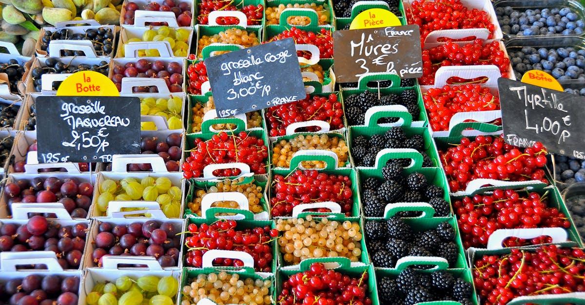 découvrez les projections et analyses des revenus des agriculteurs en france pour l'année 2025, incluant les tendances économiques et politiques agricoles.