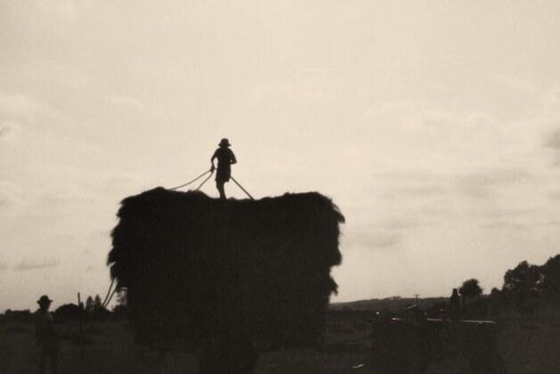 Combien perçoit un agriculteur en France en 2025 ?