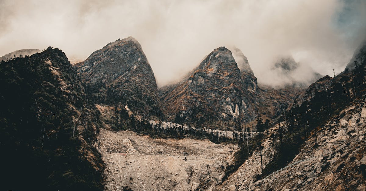 découvrez les sources d'inspiration derrière le mythe de frankenstein, du roman classique aux influences historiques et scientifiques qui ont façonné cette œuvre emblématique.