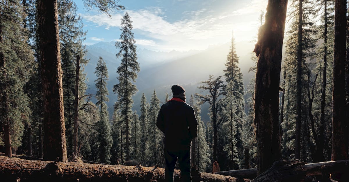 découvrez les multiples sources d'inspiration derrière le célèbre roman frankenstein, explorant l'histoire, la science et la philosophie qui ont nourri la création de cette œuvre emblématique.