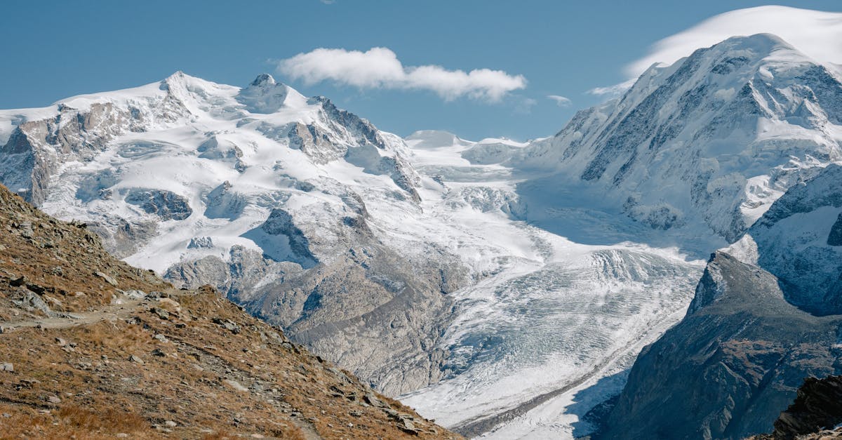 découvrez les différences et similitudes entre les pratiques alimentaires halal et kosher, leurs origines, règles et significations culturelles.