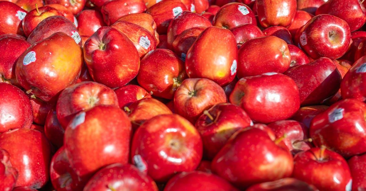 découvrez les conseils essentiels pour une alimentation saine et équilibrée pour votre hérisson afin de garantir sa santé et son bien-être.