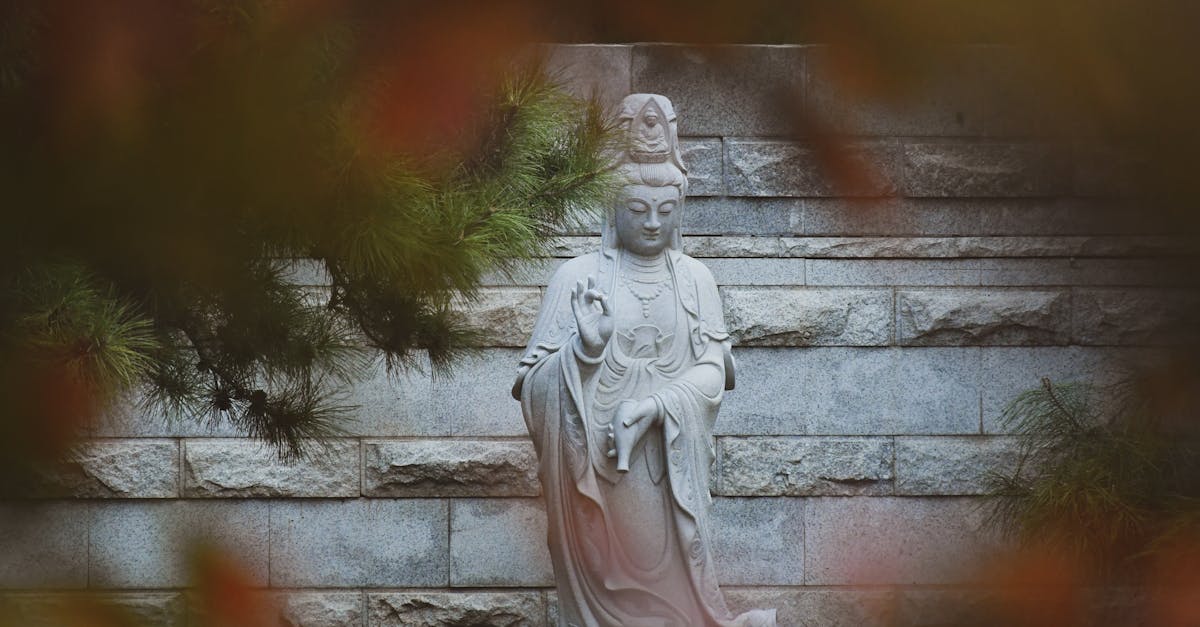 découvrez les différences et similitudes entre l'hindouisme et le bouddhisme, deux grandes religions d'asie aux philosophies et pratiques spirituelles uniques.