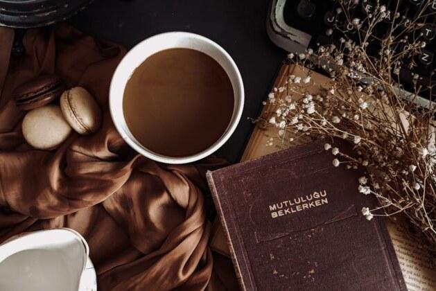 Mythe ou réalité : le lait des hippopotames est-il vraiment teinté de rose ?