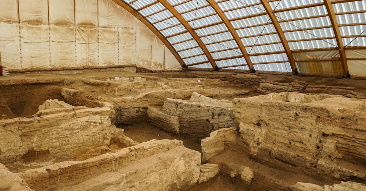 explorez l'évolution humaine, de nos ancêtres préhistoriques aux êtres modernes, pour comprendre les étapes clés qui ont façonné notre espèce.