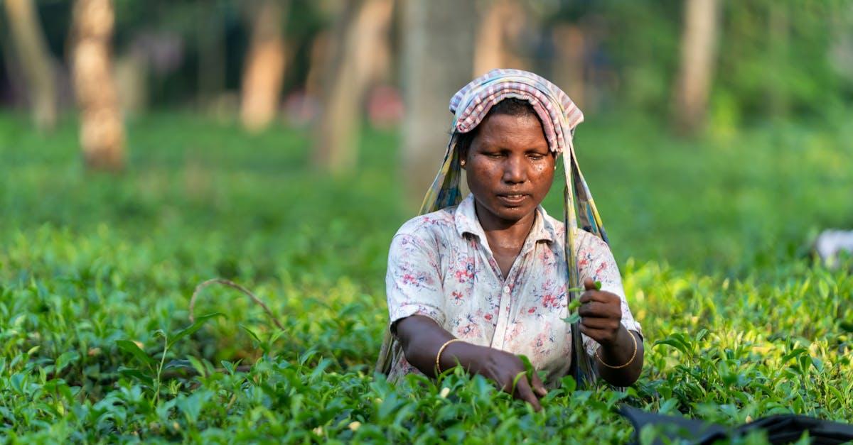 découvrez l'évolution humaine, de nos origines ancestrales à l'homme moderne, en explorant les découvertes clés et les étapes majeures de ce fascinant voyage scientifique.