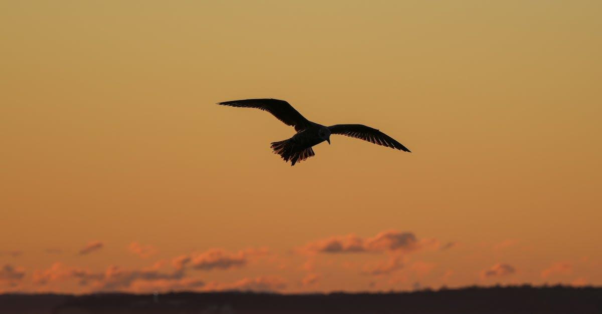 découvrez notre série inspirante qui vous motive à atteindre vos objectifs et à transformer votre vie grâce à des histoires puissantes et des conseils pratiques.