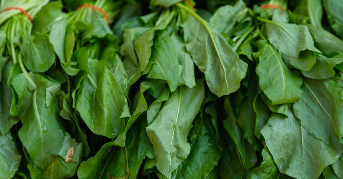 découvrez les aliments riches en fer pour renforcer votre énergie et prévenir l'anémie. guide complet des sources naturelles de fer à intégrer dans votre alimentation quotidienne.