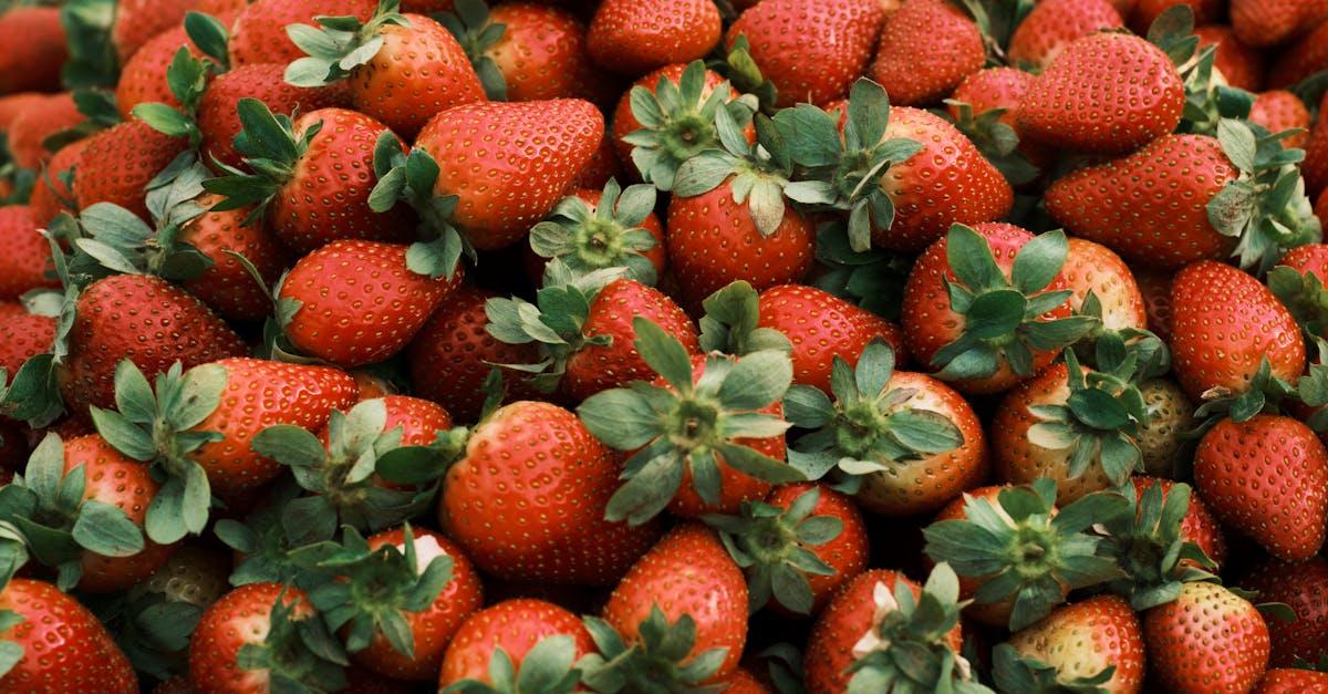 découvrez les aliments riches en fer essentiels pour une bonne santé. boostez votre énergie et prévenez l'anémie avec notre sélection de nourritures riches en fer.