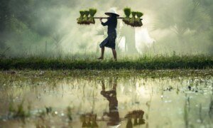 Origine du 1er mai : les racines historiques de la Fête du Travail