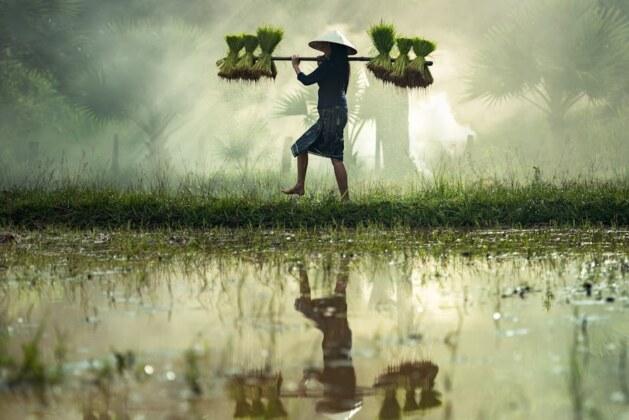 Origine du 1er mai : les racines historiques de la Fête du Travail