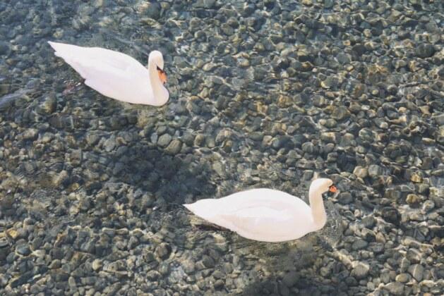 Le plus grand lac de France : découverte de ses merveilles