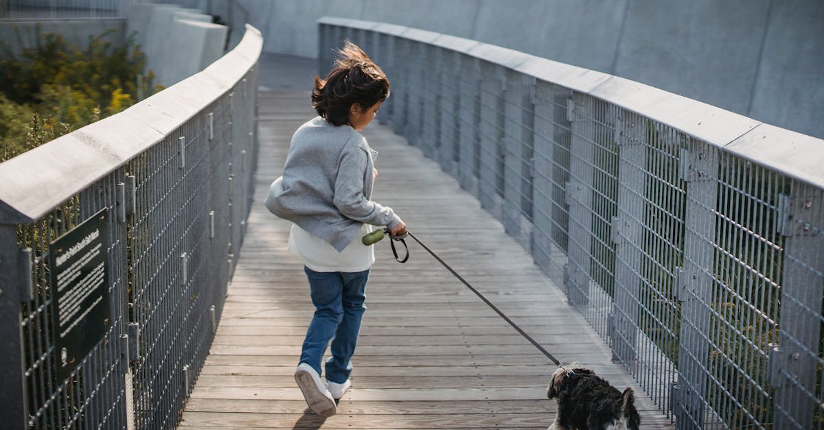 découvrez le pont le plus long du monde et ses caractéristiques impressionnantes, incluant sa longueur totale, son histoire et son importance.