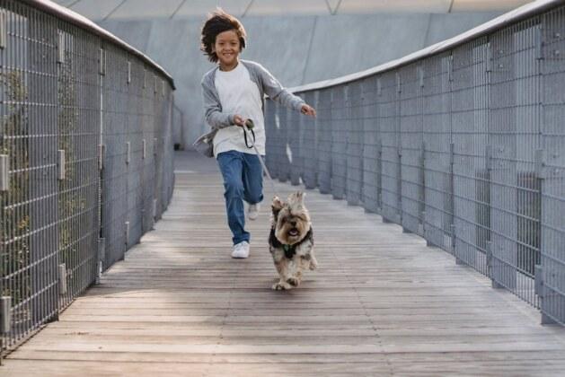Combien de kilomètres mesure le pont le plus long du monde ?
