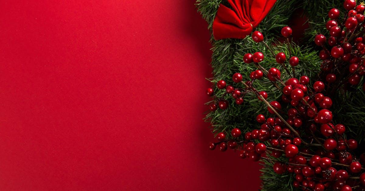 souhaitez un joyeux noël à vos proches avec nos messages chaleureux et idées cadeaux festives pour une saison pleine de joie et de bonheur.