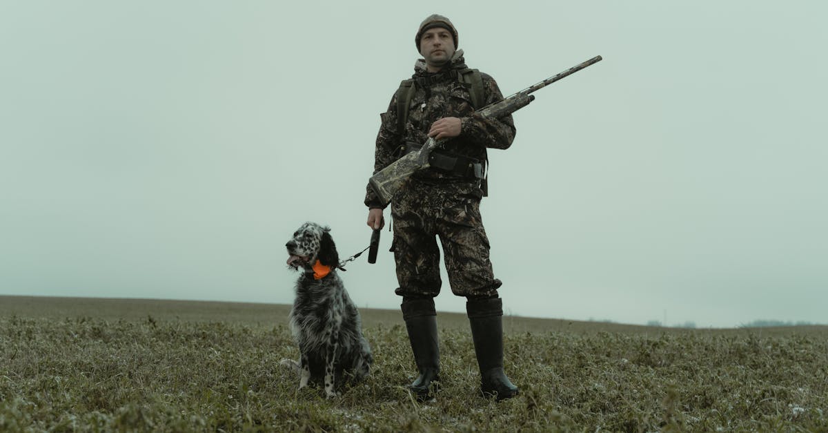 découvrez les races de chiens les plus dangereuses, leurs caractéristiques et comment assurer une cohabitation sécurisée avec ces animaux puissants.