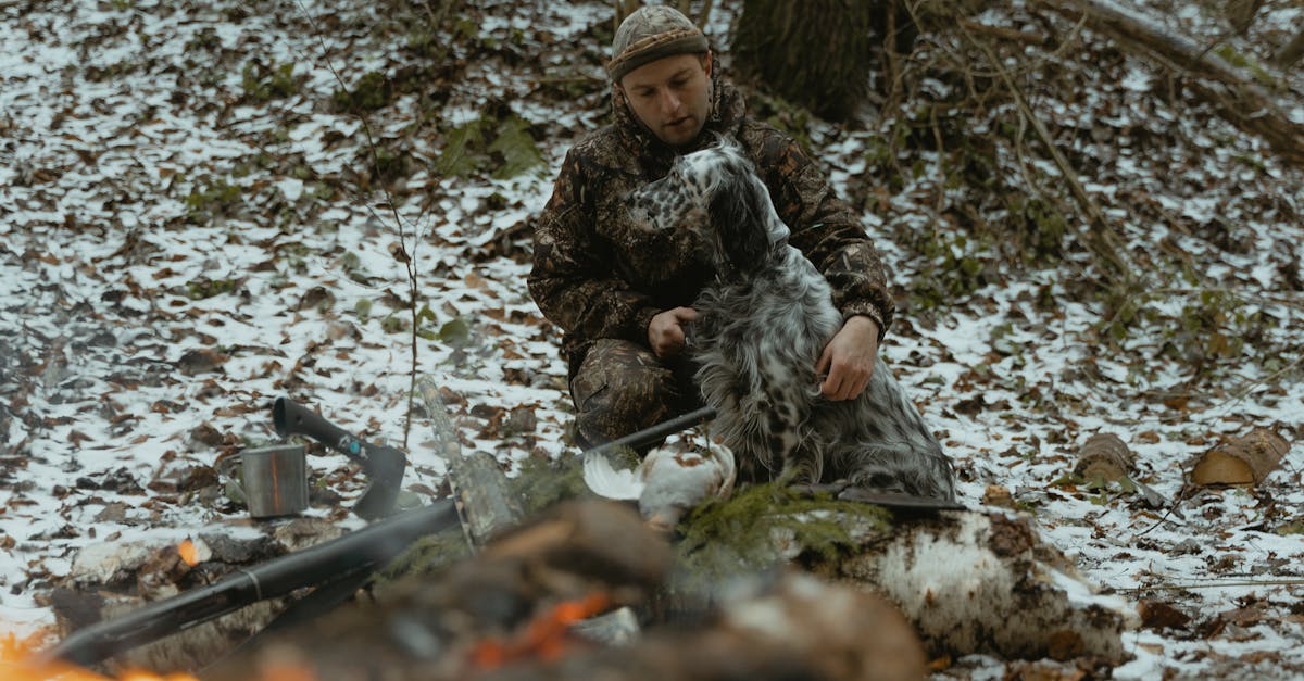 découvrez les races de chiens les plus dangereuses, leurs caractéristiques et conseils pour une cohabitation en toute sécurité.