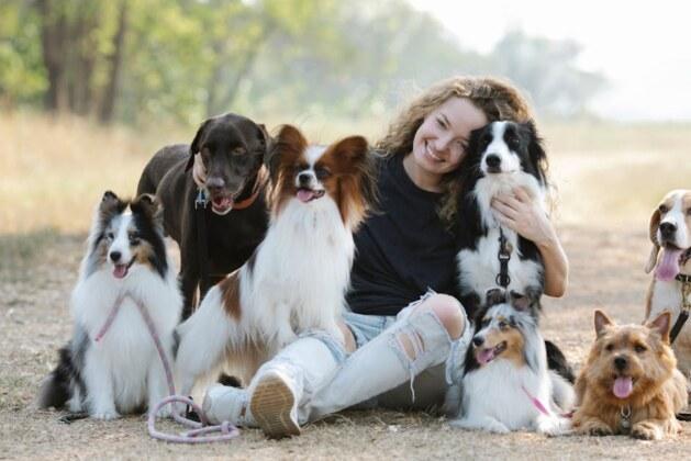 Les races de chiens les plus fidèles : découvrez lesquelles sont les meilleures compagnons