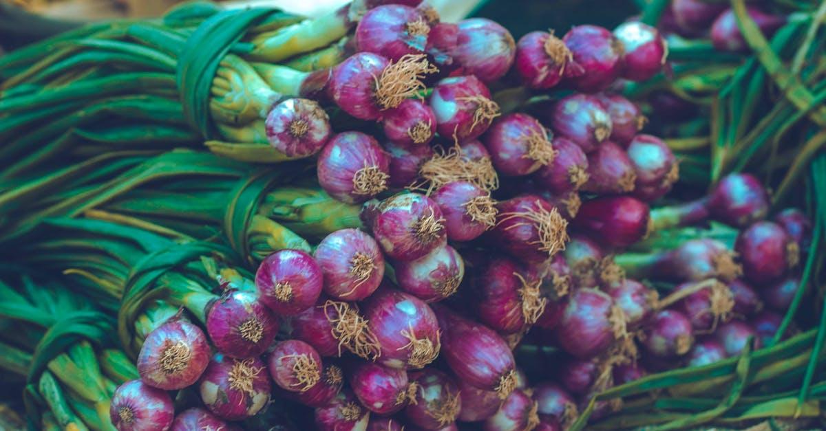 découvrez tout sur l'oignon : ses bienfaits, ses variétés, et comment l'utiliser en cuisine pour sublimer vos plats.