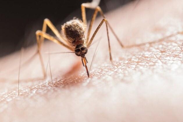 Comment s’éteint la vie face à la maladie de Parkinson ?