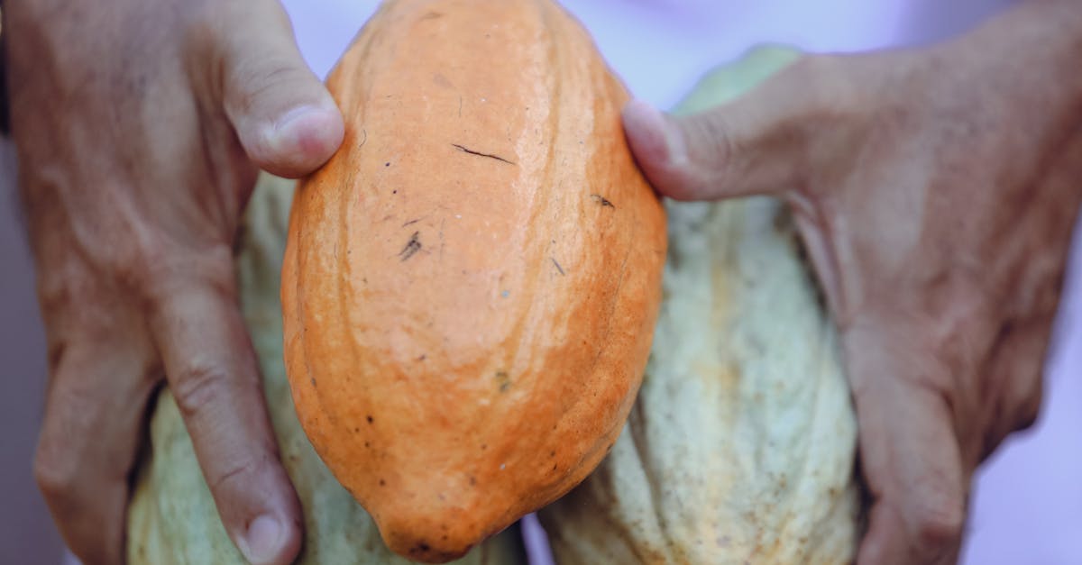 découvrez des méthodes efficaces et sûres pour l'élimination des verrues plantaires, soulagez la douleur et retrouvez des pieds sains rapidement.