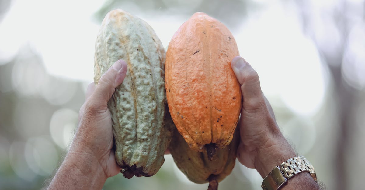 découvrez les méthodes efficaces pour éliminer les verrues plantaires rapidement et en toute sécurité. conseils et traitements pour retrouver des pieds sains.