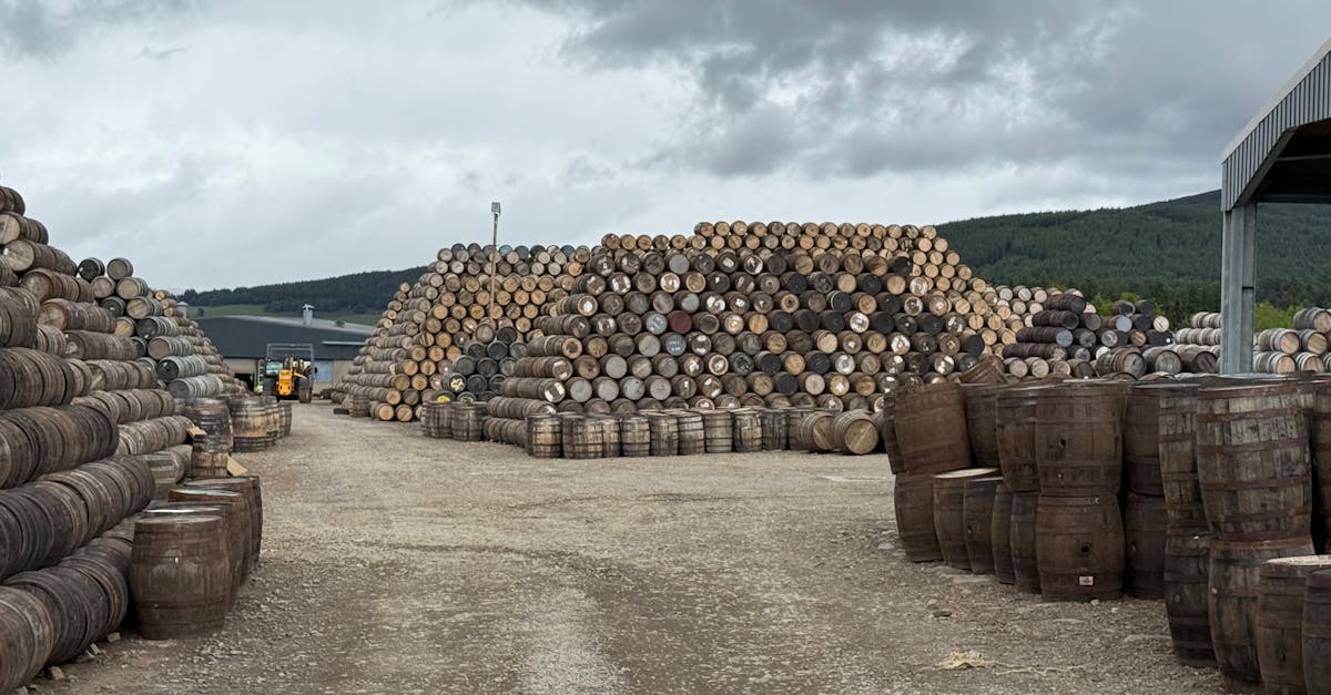 découvrez les meilleures méthodes pour stocker vos pommes de terre afin de préserver leur fraîcheur et leur saveur plus longtemps.