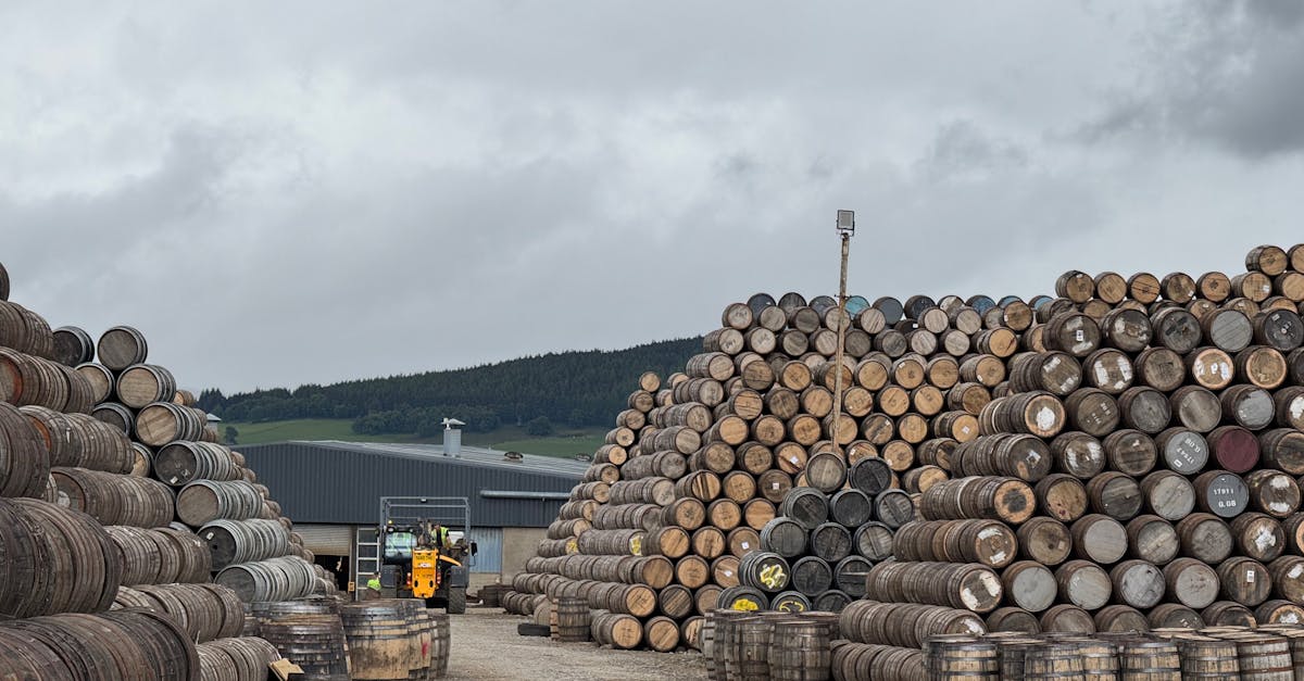 découvrez nos conseils pratiques pour un stockage optimal des pommes de terre afin de préserver leur fraîcheur et leur saveur plus longtemps.