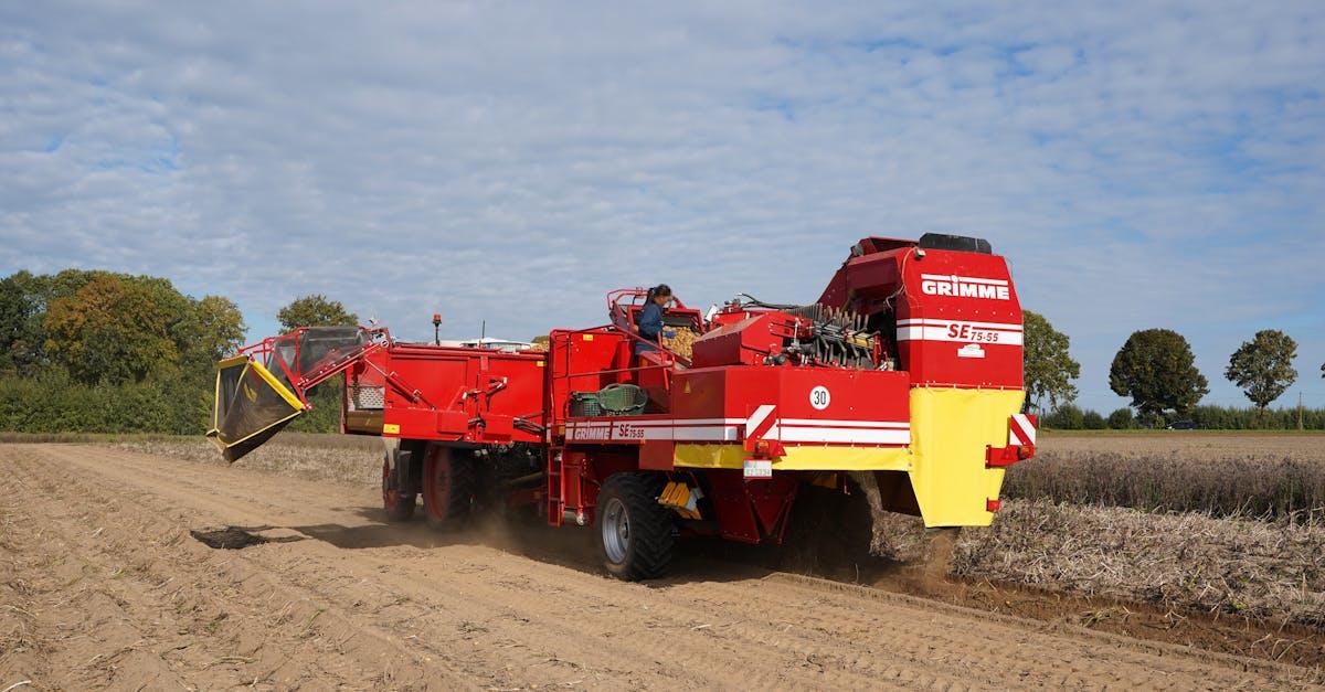 découvrez les meilleures méthodes pour conserver vos pommes de terre plus longtemps : conseils de stockage, conditions idéales et astuces pratiques.
