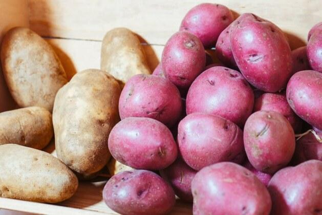 Comment conserver des pommes de terre épluchées pour une meilleure fraîcheur ?