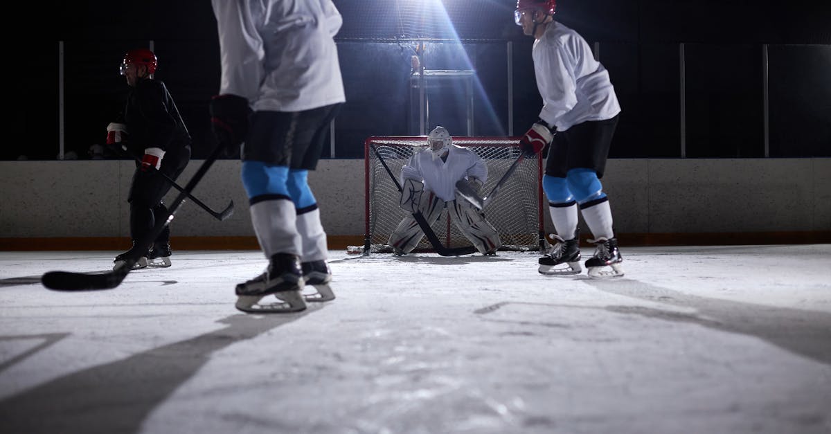 découvrez des conseils efficaces pour l'apprentissage de la propreté nocturne chez votre chiot et assurez des nuits paisibles.