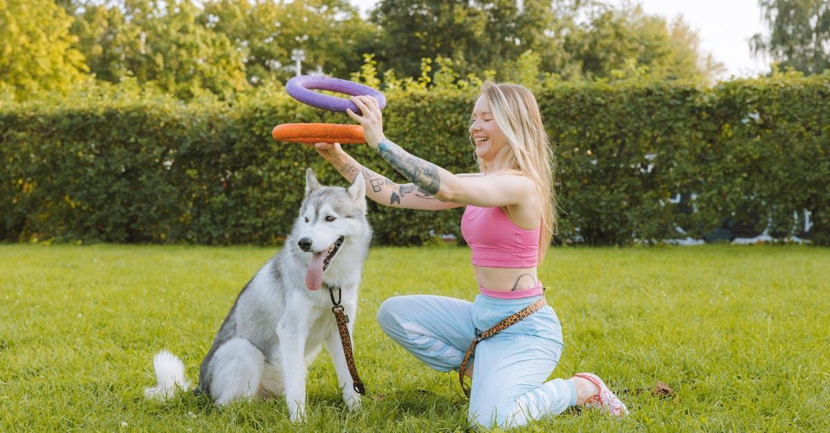 apprenez à votre chiot à faire ses besoins la nuit grâce à notre guide complet de dressage nocturne, pour des nuits paisibles et un chiot bien éduqué.