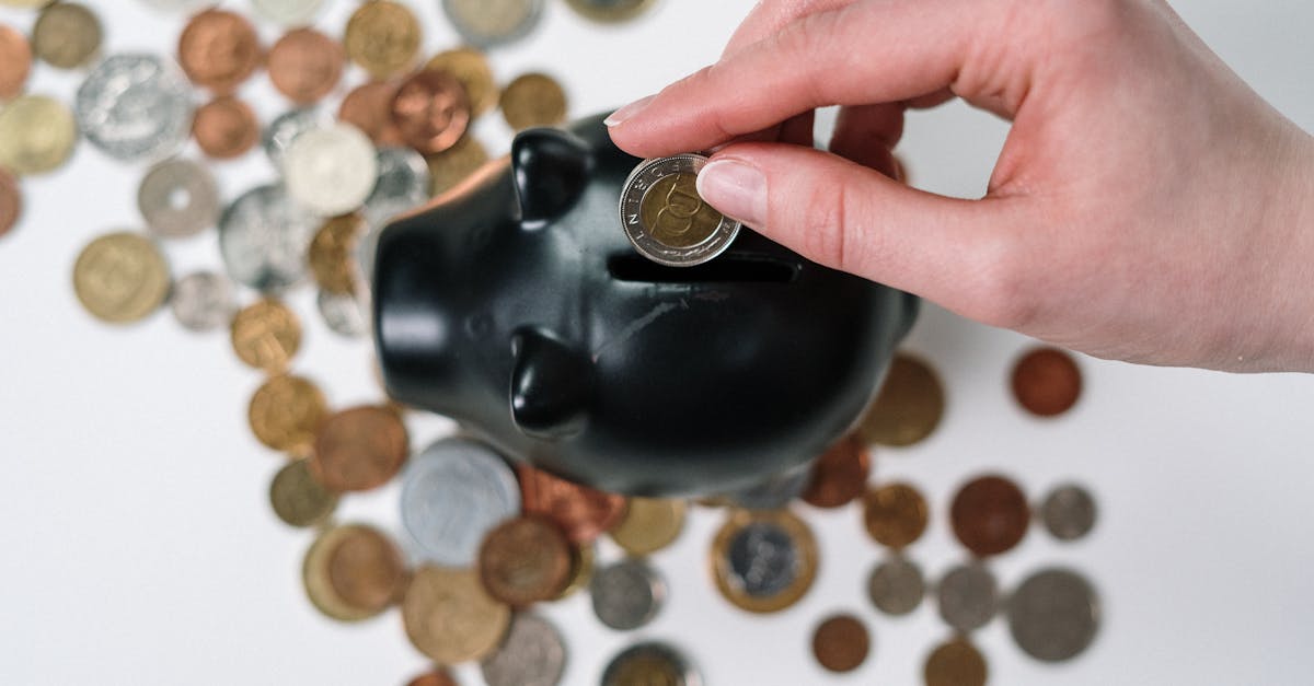 découvrez notre collection de pièces d'euro rares, véritables trésors pour les numismates et passionnés, alliant histoire et valeur unique.