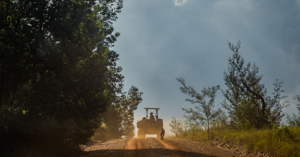 découvrez quel est le pays le plus riche d'afrique, avec un aperçu de son économie, ses ressources naturelles et son développement.