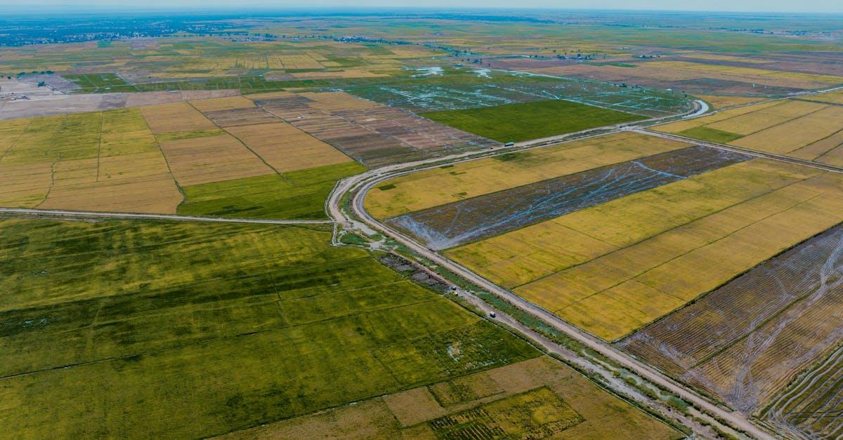 découvrez quel est le pays le plus riche d'afrique, grâce à son économie florissante, ses ressources naturelles abondantes et son développement rapide.