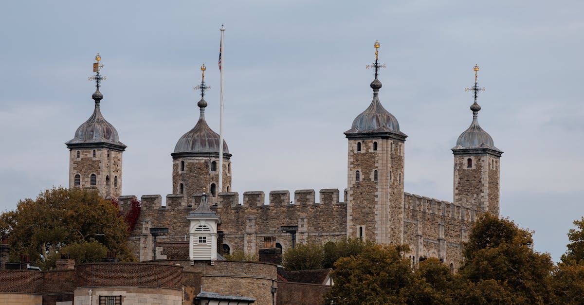 découvrez tout sur les royalties : définition, fonctionnement et enjeux pour les créateurs et les titulaires de droits.