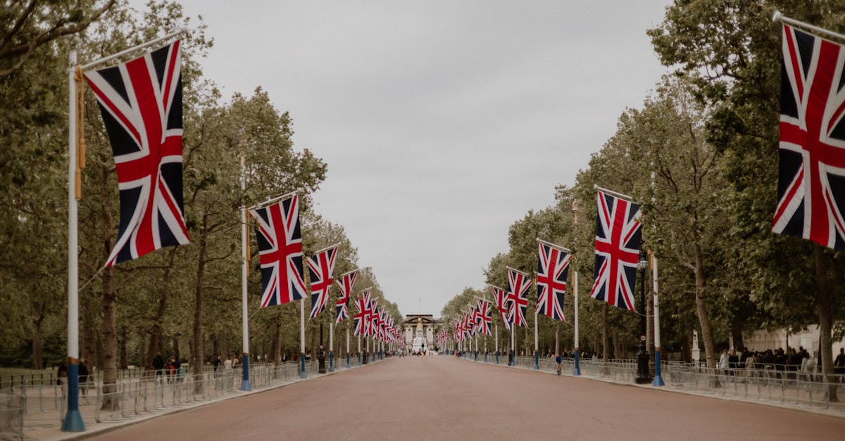 découvrez tout sur les royalties : définition, fonctionnement, calcul et exemples d'utilisation dans différents secteurs comme la musique, l'édition et la technologie.