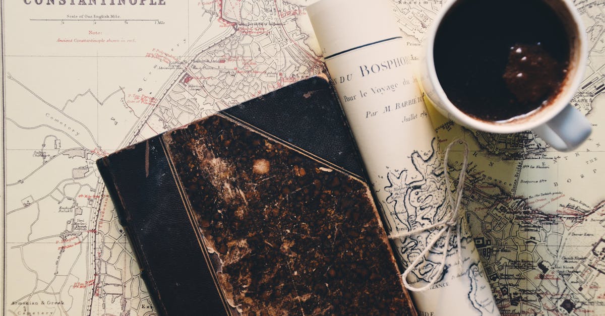 découvrez tout sur le phoque, un mammifère marin fascinant, ses habitats, comportements et rôle écologique.