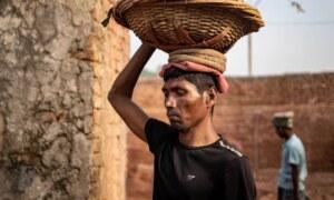 Comment identifier le sexe d’un squelette : méthodes et analyses