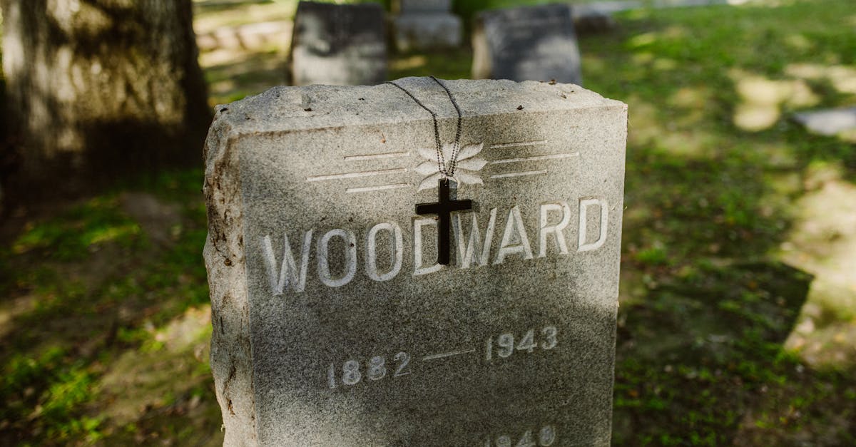 découvrez les noms des orteils en français avec notre guide simple et clair, parfait pour apprendre l'anatomie du pied.