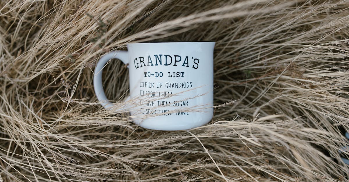 découvrez les noms des orteils en français, leur signification et comment les identifier facilement pour mieux comprendre l'anatomie du pied.