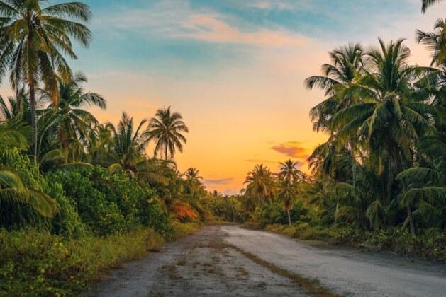 Que sont le tropique du Cancer et le tropique du Capricorne ?
